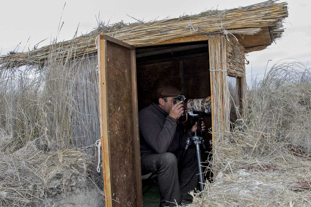 Fotógrafo de naturaleza utilizando un teleobjetivo desde el interior de un hide de paja en El Taray