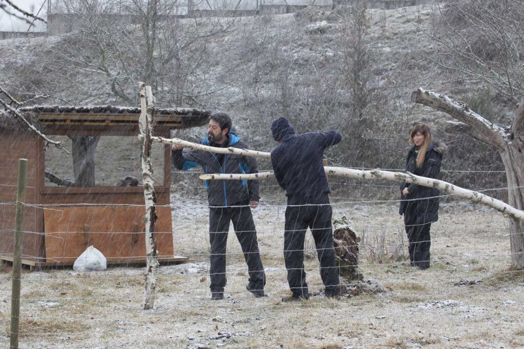 Expertos montando un posadero natural bajo la nieve frente a un hide de madera.