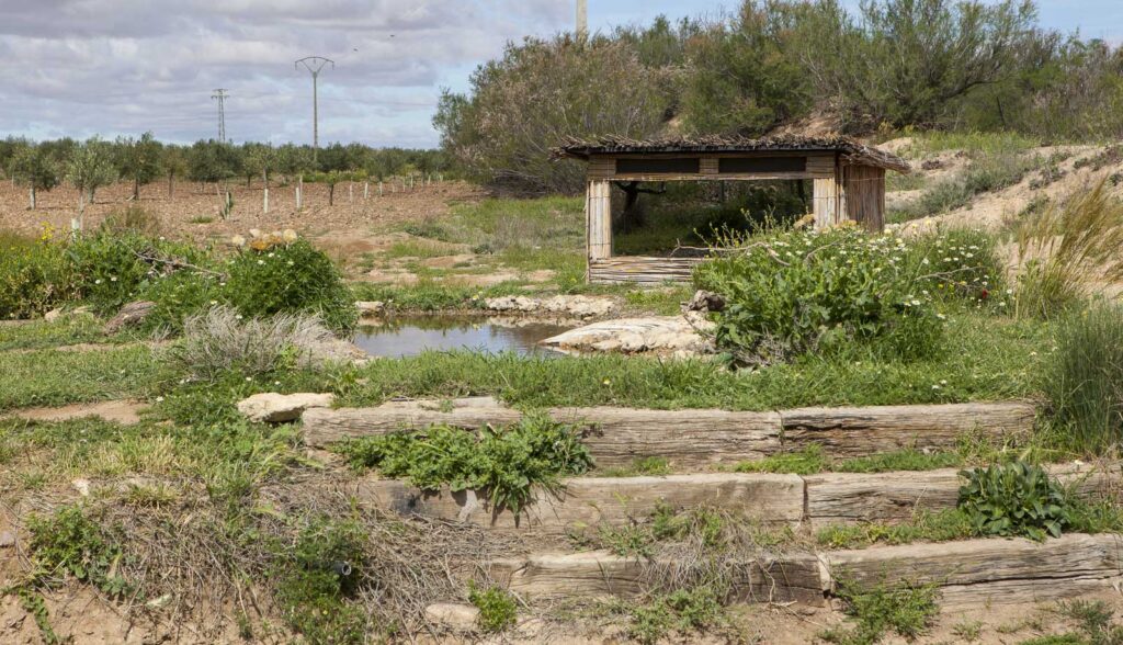 Hide fotográfico de madera frente a una charca artificial y bebedero para aves en un entorno rural.