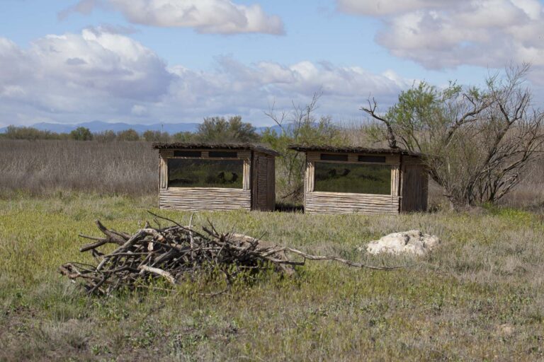 Dos hides de madera para fotografía de naturaleza con amplios cristales espía bajo un cielo nublado.