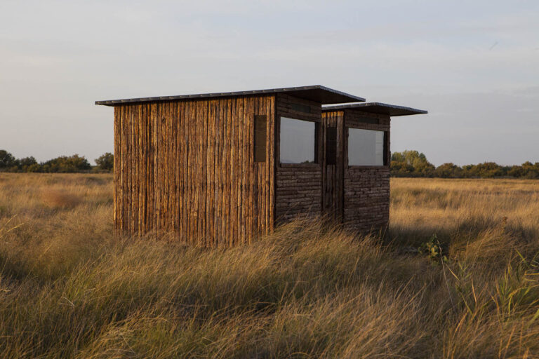 Hides fotográficos profesionales de madera integrados en un paisaje de gramíneas al atardecer.
