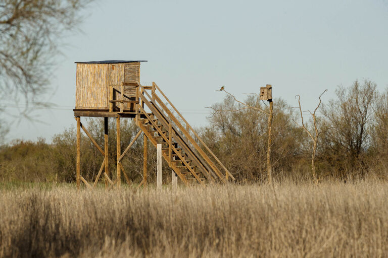 Hide fotográfico elevado de madera y paja para la observación de aves en El Taray.