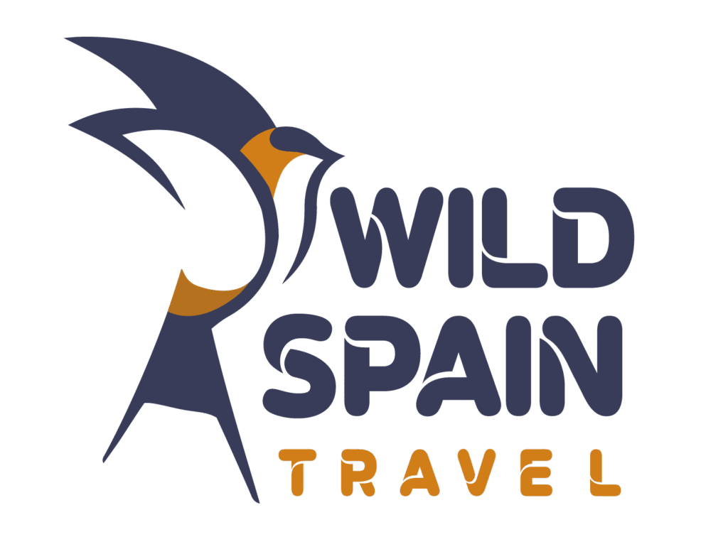 LOGOTIPO WST 04