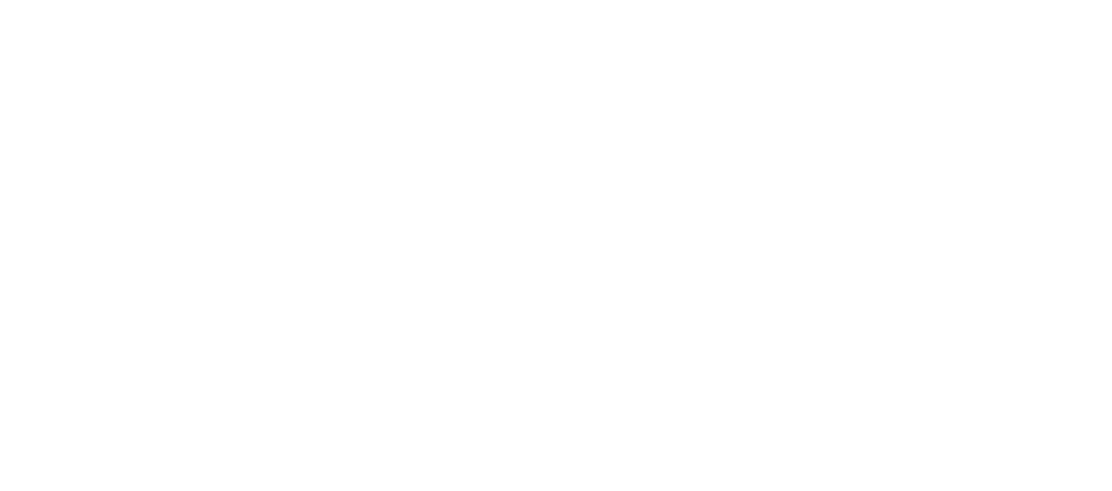 logo silueta aveshide