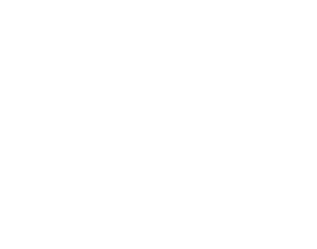 Logotipo wst blanco