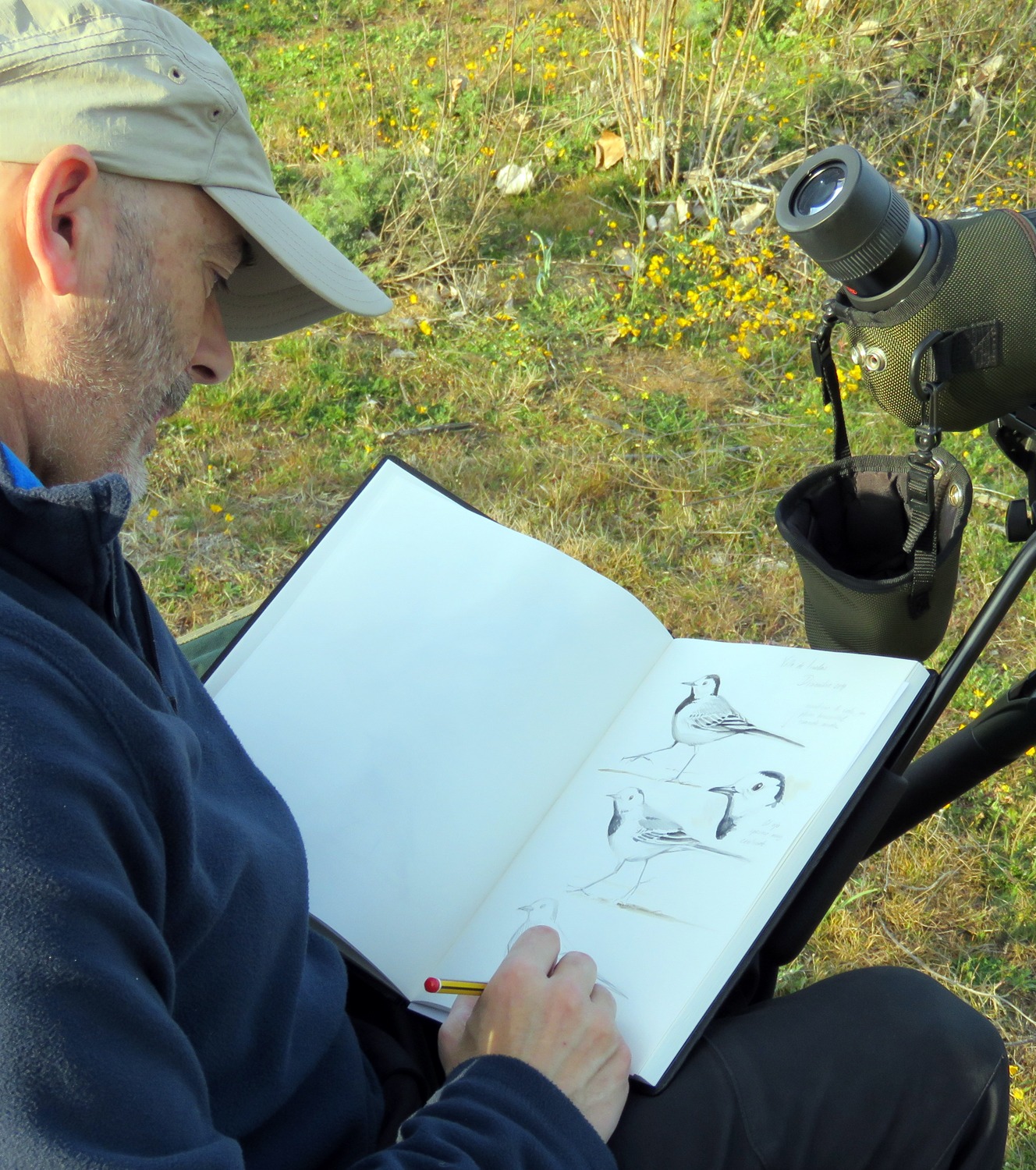 El artista Nacho Sevilla elaborando una de sus pinturas de aves junto a un telescopio.