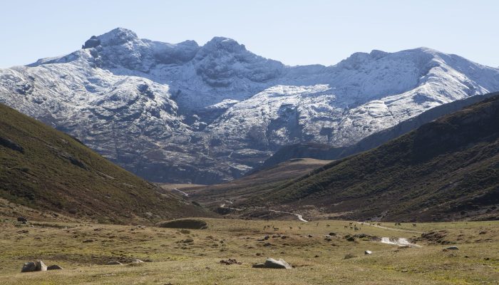 15_Curavacas2