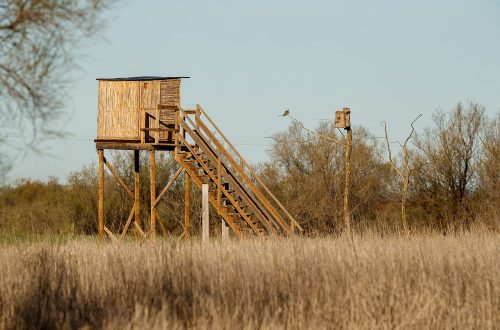 casa de labor