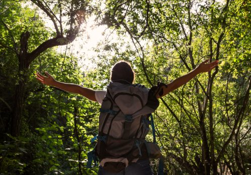 Persona con mochila de senderismo abriendo los brazos frente a un bosque frondoso iluminado por el sol, turismo sostenible con Wild Spain Travel y Aveshide.