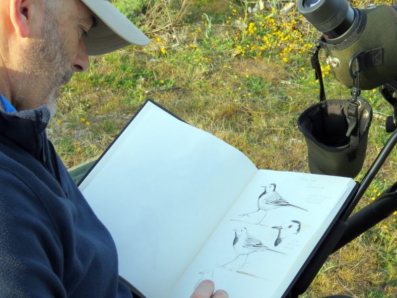 El artista Nacho Sevilla elaborando una de sus pinturas de aves junto a un telescopio.