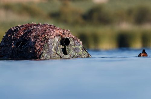 Hide flotante camuflado frente a un pato en el agua, técnica de fotografía de naturaleza a nivel del suelo en El Taray.