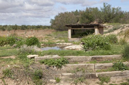 hide Bebedero casa de labor
