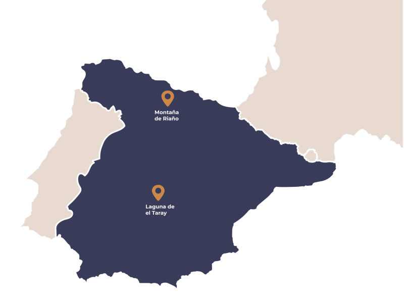 mapa nuevo Mesa de trabajo 1