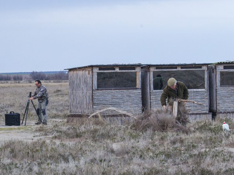Logística de Wild Spain Travel con vehículo 4x4 y expertos preparando hides fotográficos profesionales de Aveshide en El Taray.