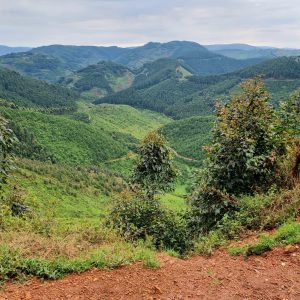 uganda 14